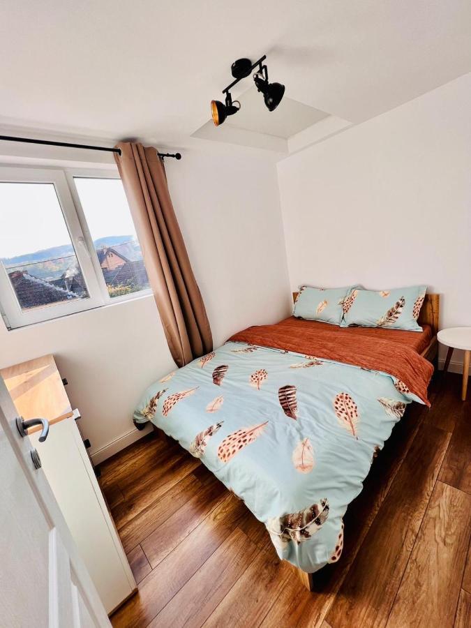 Master Adventure Guest House Vadu Crisului Bagian luar foto
